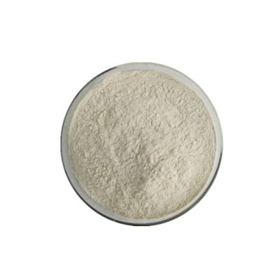 HAVANCIZADE - Guar Gum E412