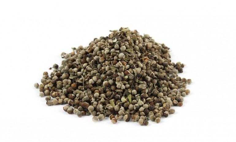 Hayıt tohumu (Vitex agnus - castus)- 100 gr