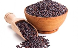 BOTANİKA - Kahverengi Hardal Tohumu