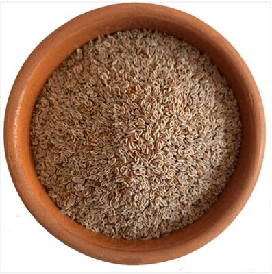 Karnıyarık Tohumu 250 GR - 1