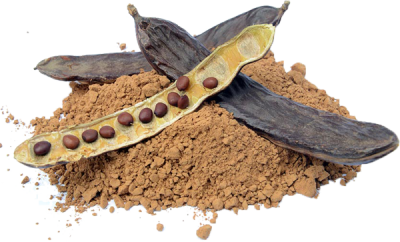 Keçiboynuzu Unu 1kg - 3