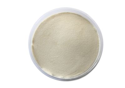 HAVANCIZADE - Ksantan Gam (Xanthan Gum) 25kg (1)