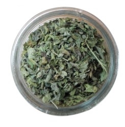 BOTANİKA - Oğul otu 