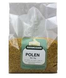 HAVANCIZADE - Polen (1)