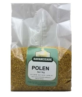 HAVANCIZADE - Polen (1)